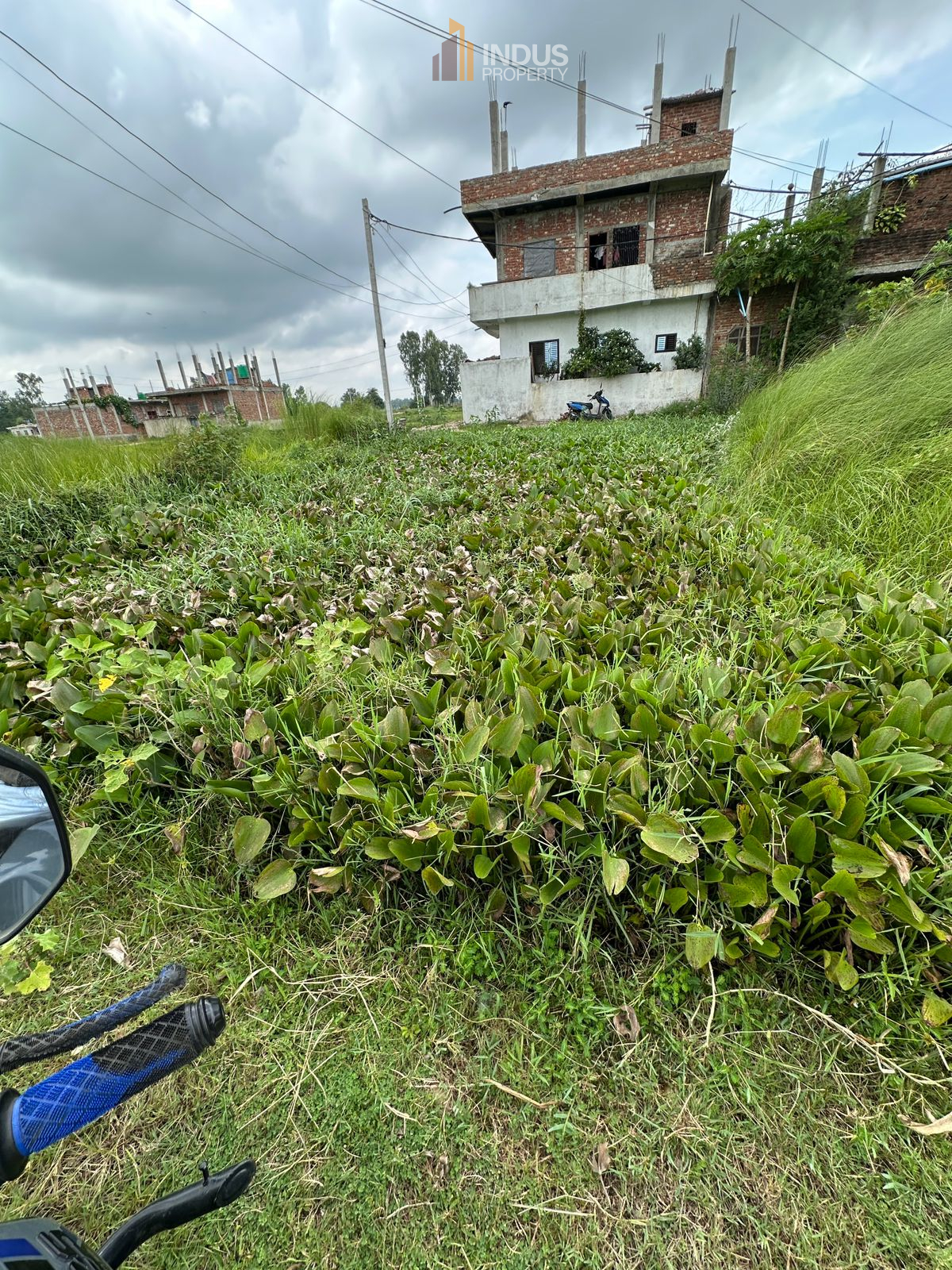 property-image